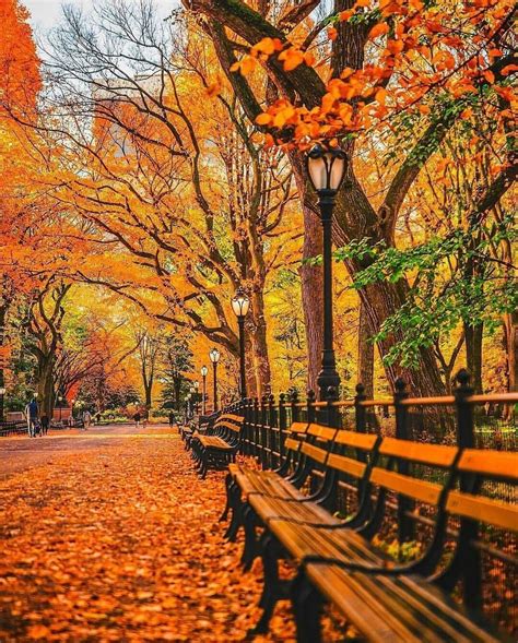 Lovesnewyork Autumn In New York Central Park Nyc Autumn Scenery