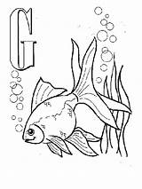 Goldfish Bestcoloringpagesforkids Kanak Ikan Berwarna Koleksi Warni sketch template