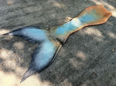Gold | Mermaid Tail Collection Siren Tail, Gold Mermaid Tail, Merman