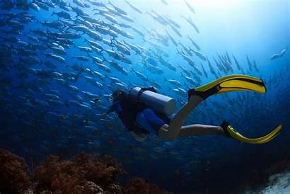 Diving Scuba Wallpapers Diver Ocean Underwater Planet