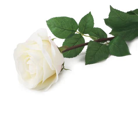 Artificial 72cm Single Stem Fully Open White Rose Artplants