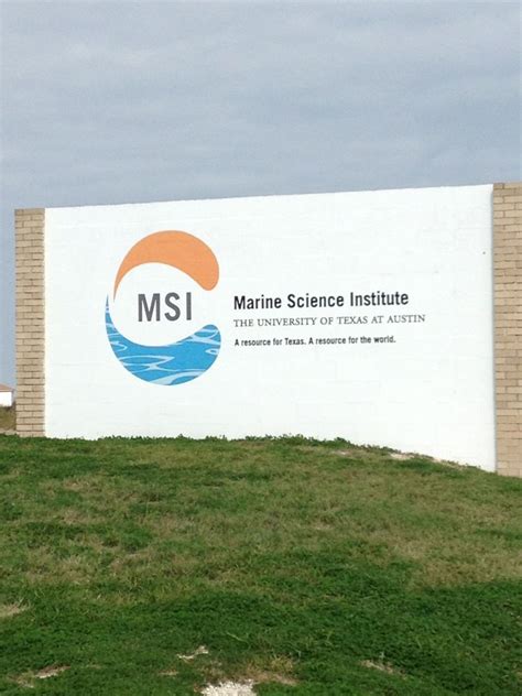 Ut Marine Science Institute Science Marine Institute