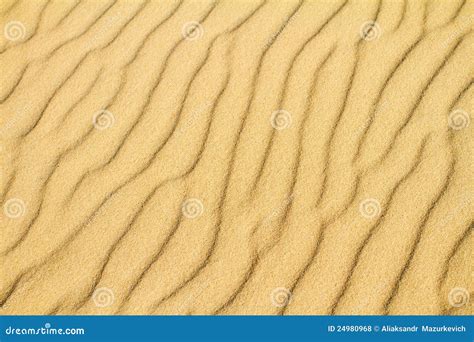 Desert Sand Background Stock Photo Image Of Detail Backgrounds 24980968