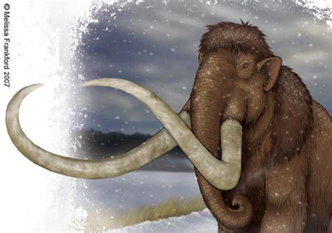 Mammoth By Mmfrankford On Deviantart