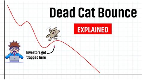 جستن گربه مرده Dead Cat Bounce چیست؟ خوبو