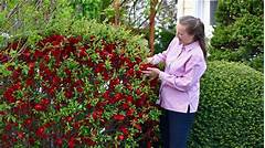 Land Grab Opportunity The Unbelievable Cost Of 200 Acres Will Make You Do A Double Take