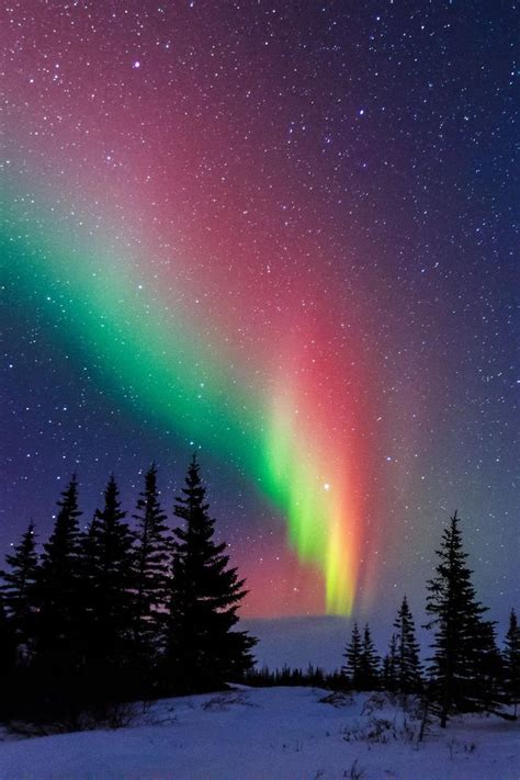 Aurora Over Churchill Manitoba Nature Photography Beautiful Nature