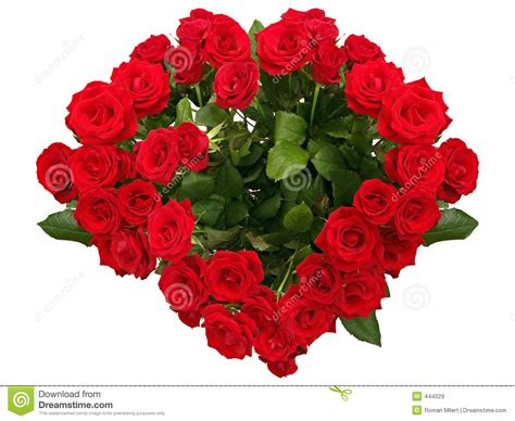 Red Rose Heart Royalty Free Stock Images Image 444029
