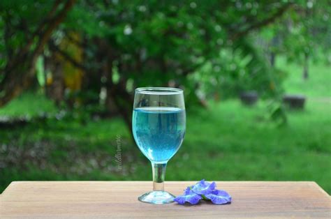 Butterfly pea leaves are leaves of the flowering plant well known as butterfly pea which has scientific name as clitoria ternatea. 10 Top Health Benefits Of Blue Butterfly Pea Flower Tea ...