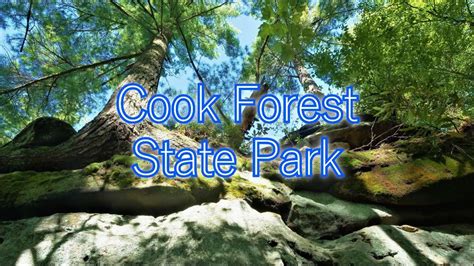 Cook Forest State Park Full Day Adventure Scenic Views Of Pa