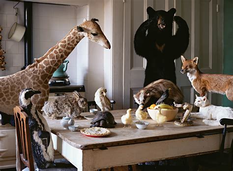 The Secret Life Of Taxidermy Architectural Review