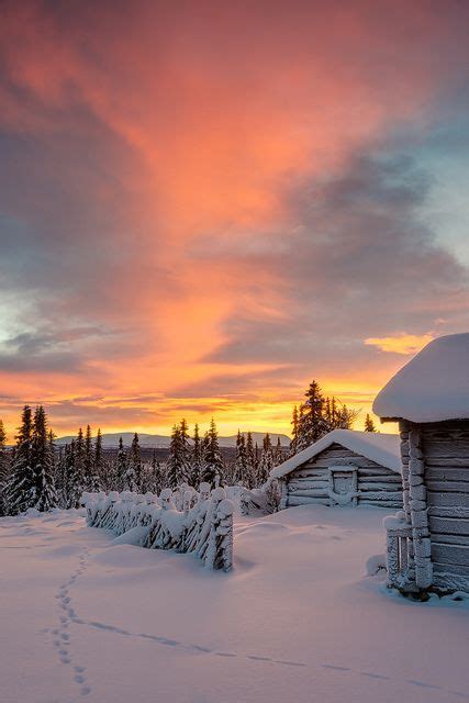 10 Most Unbelievable Winter Photos Truly Heart Melting