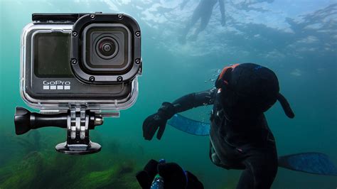 Gopro Underwater Settings Brent Durand Underwater