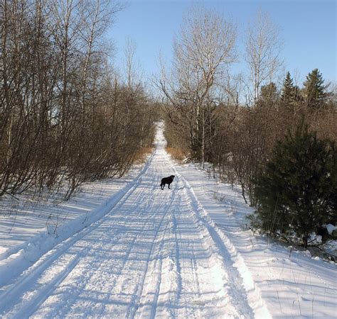 Hiking In Maine With Kelley 1313 Snowmobile Trail