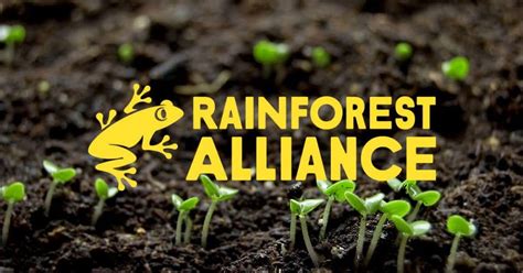 Tìm Hiểu Về Chứng Nhận Rainforest Alliance Trên Cây Cà Phê