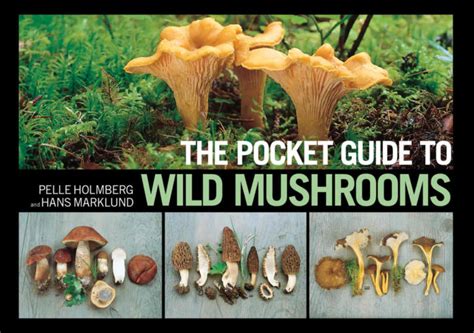 Pocket Guide For Wild Mushrooms Mojo Mushroom