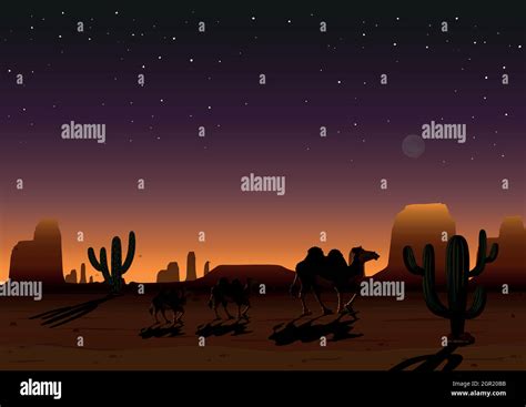 A Desert Landscape At Night Stock Vector Image And Art Alamy