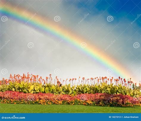 Rainbow And Flowers Stock Photos Image 1427313