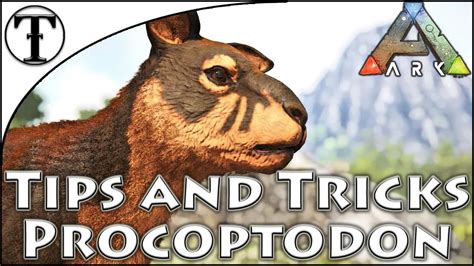 Fast Procoptodon Taming Guide Ark Survival Evolved Tips And Tricks