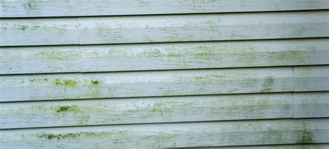 6 1/2 by 4 3/4 inches. Cleaning Vinyl Siding | DoItYourself.com