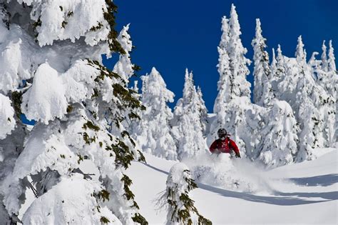 Snowmobile In Whistler Canadian Wilderness Adventures