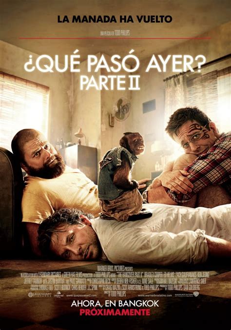 Ver Película ¿qué Pasó Ayer 2 2011 Hd 1080p Latino Online Vere