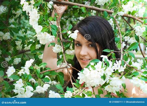 Girl And Spring Apple Tree Stock Image Image Of Adult 31008711