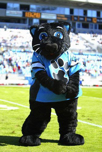 A Definitive Ranking Of Nfl Mascots Carolina Panthers Wallpaper