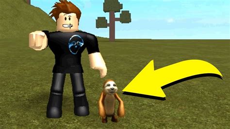GETTING MY OWN SLOTH IN ROBLOX! - YouTube