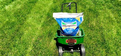 Fertilizer should be used in combination with watering, two or three times each growing season. What Type of Lawn Spreader to Use and How to Correctly Set the Spreader Settings | Milorganite