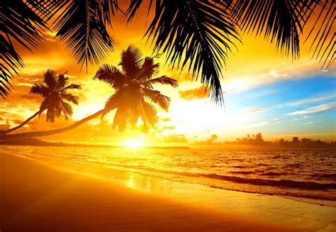 🔥 47 Tropical Sunset Wallpaper Desktop Wallpapersafari
