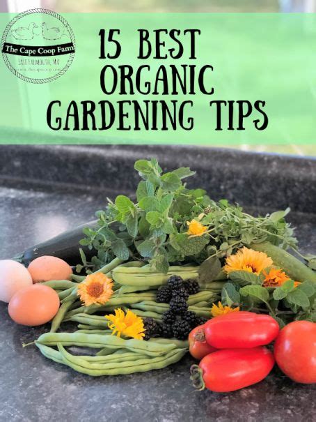 15 Best Organic Gardening Tips Organic Gardening Organic Gardening