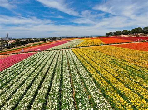 10 Fun Things To Do In Carlsbad Ca With Kids Travel Mamas