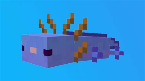 Minecraft Axolotl Colors Axolotls Come In Five Different Colors