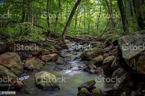 Forest River Stock Photo Download Image Now Autumn Beauty In