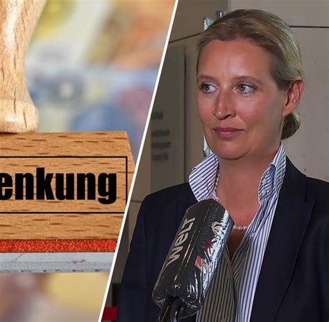 „nazi Schlampen“ Satire Afd Politikerin Scheitert Mit Einstweiliger Verfügung Gegen Ndr Welt