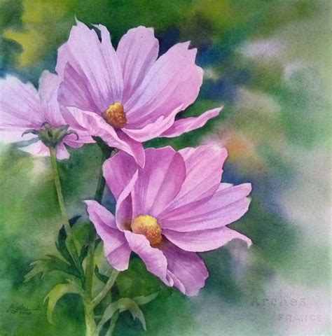 Cosmos Sold Flower Art Painting Floral Watercolor Floral Painting