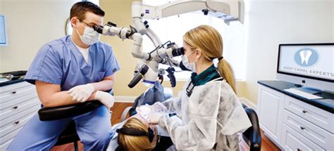 endodontist education and career information