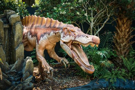 Dinotrek Returns To Nashville Zoo
