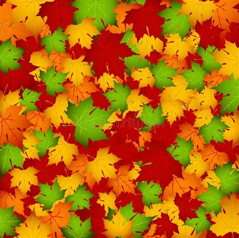 Autumn Leaves Stock Vector Illustration Of Season Pattern 13412427