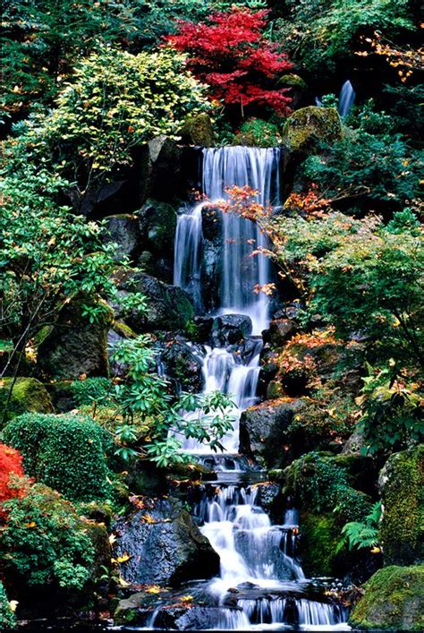 Jul 27, 2021 · tucked into the scenic west hills of portland, above washington park and near the international rose test garden, the portland japanese garden is a haven of meticulously maintained, tranquil beauty. Garden waterfall, Japanese gardens and Waterfalls on Pinterest