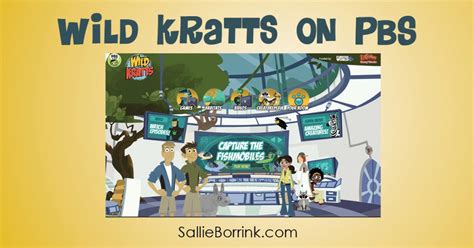 Wild Kratts On Pbs A Quiet Simple Life With Sallie Borrink