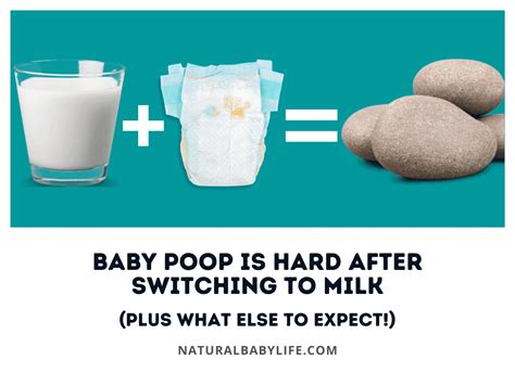Baby Poop Is Hard After Switching To Milk Plus What Else To Expect