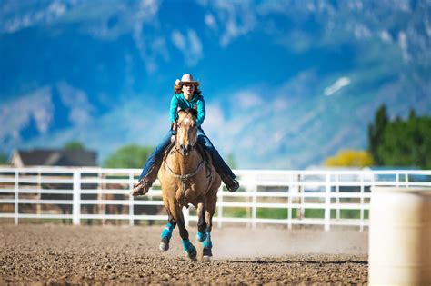 5 Best Horse Breeds For Barrel Racing In The Money Horse Rookie
