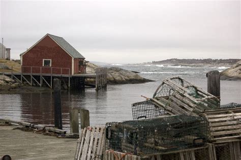 Peggys Cove Lobster Traps By Roxanne Bay Coastal Art Cove Vacation