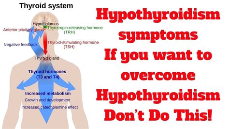 Hypothyroidism Ati Template