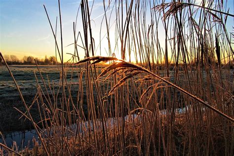 Hd Wallpaper Reed Sunrise Across Landscape Atmospheric