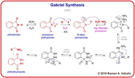 Gabriel Synthesis Of Amino Acids - [73] Gabriel Synthesis 1887 | Chemistry lessons, Organic chemistry