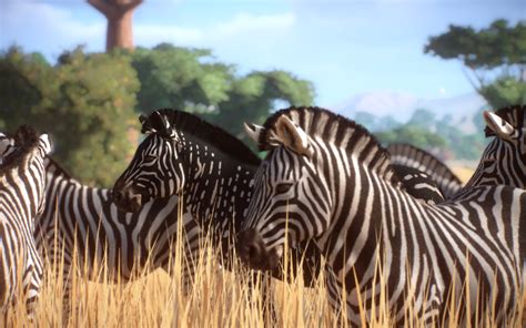 Melanistic Zebra At Planet Zoo Nexus Mods And Community Zoo Animals