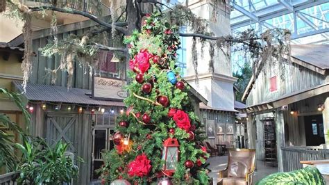 Complete Guide To Christmas At The Gaylord Palms Orlando My XXX Hot Girl